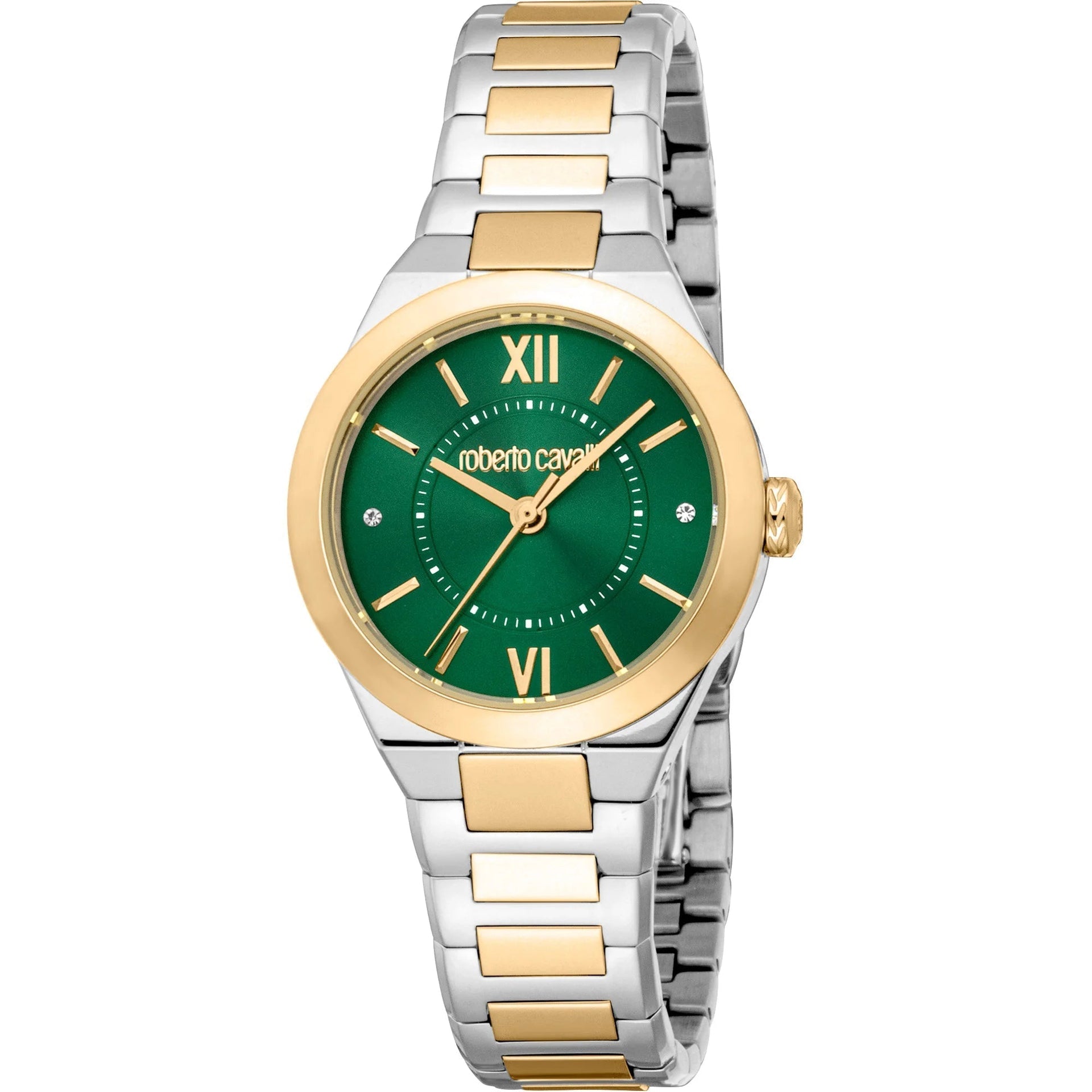 Roberto Cavalli Lady RC5L126M0065 image 0