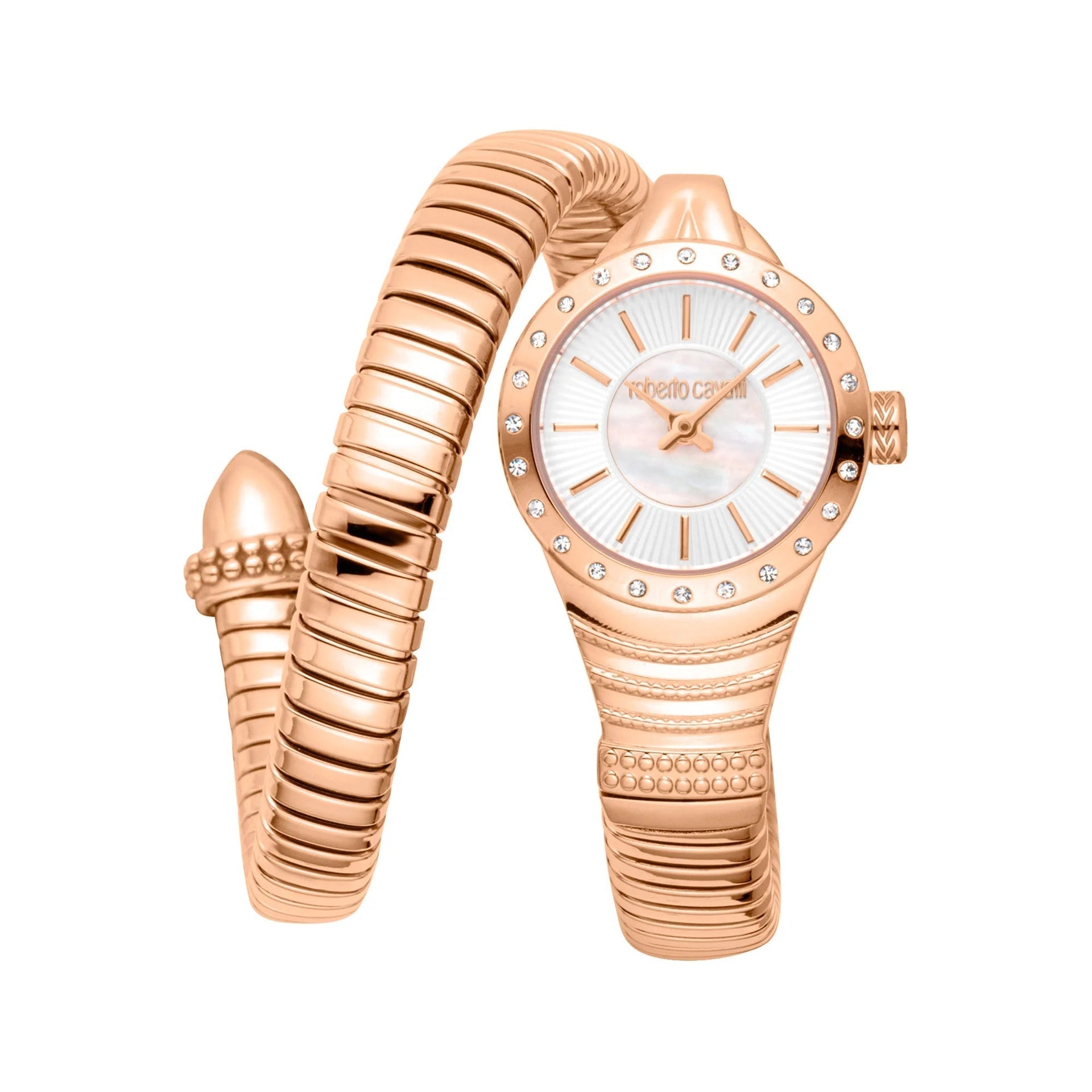Roberto Cavalli Lady RC5L114M0055 image 0