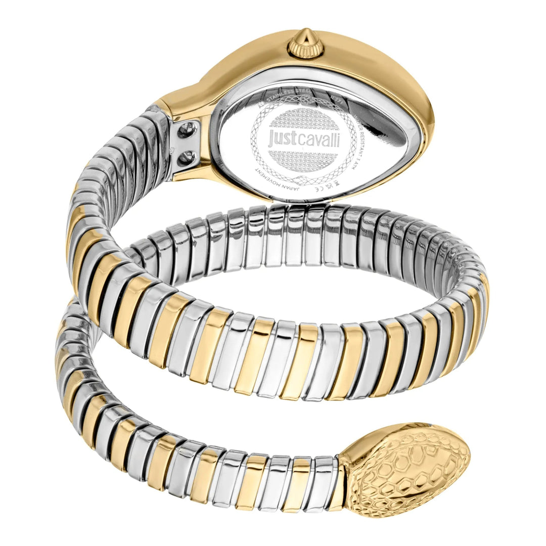 Just Cavalli Signature Snake Eclisse Two Tones YG Silver Green image 1
