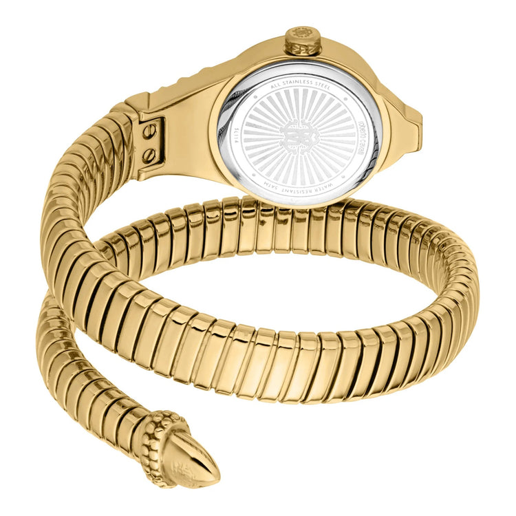 Roberto Cavalli Lady RC5L114M0025 image 1