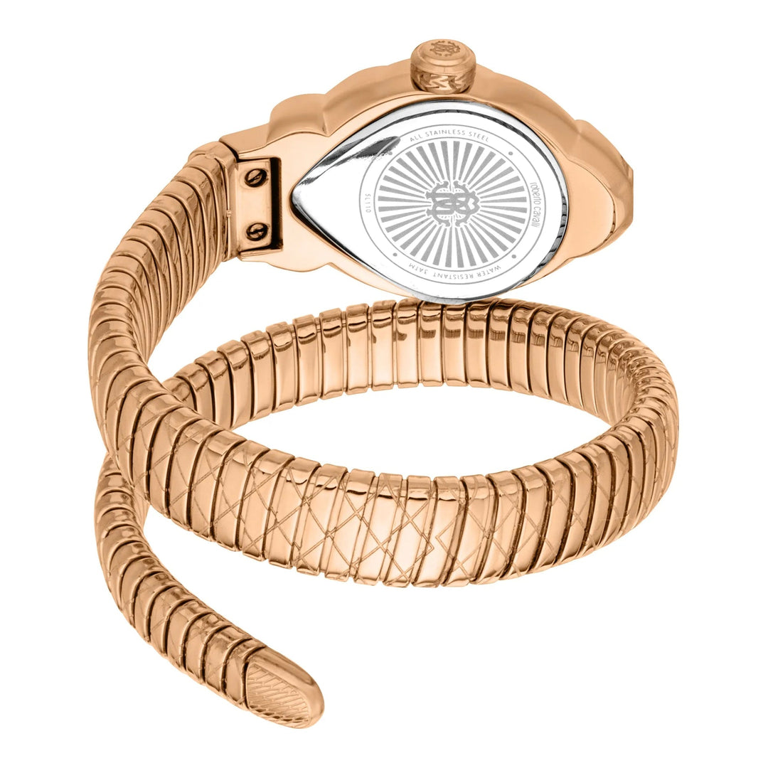 Roberto Cavalli Lady RC5L110M0055 image 1