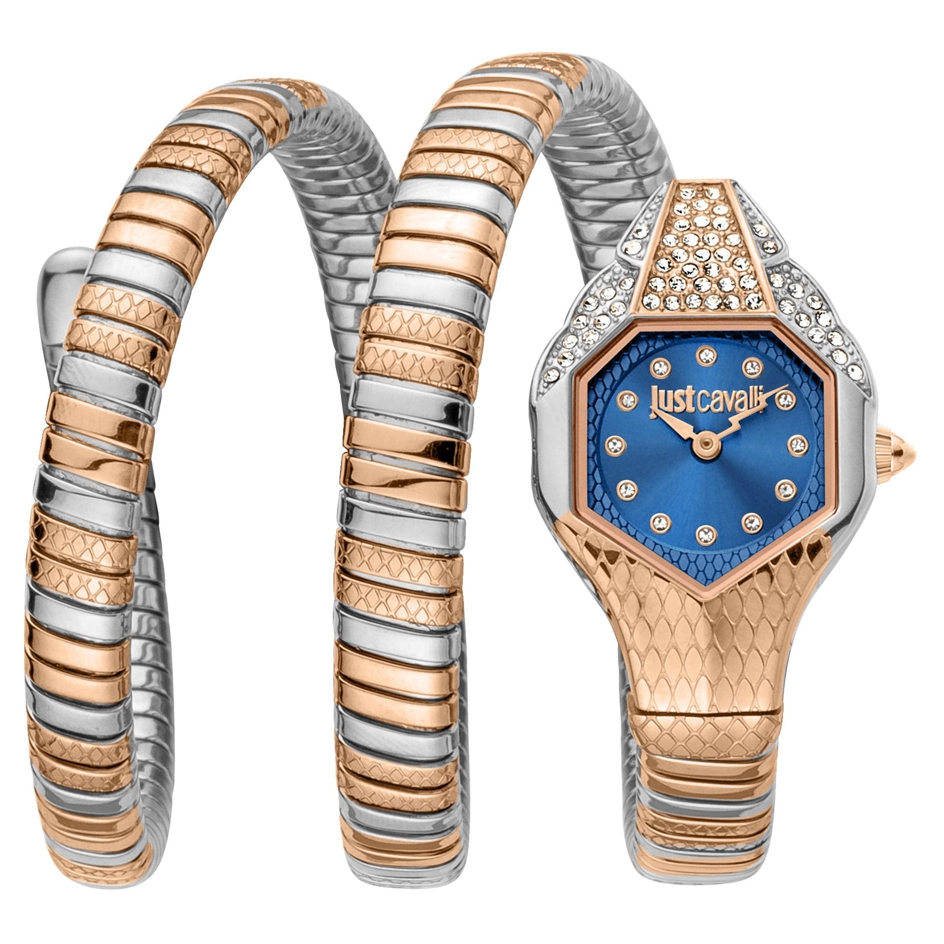 Just Cavalli Signature Snake Glam Evo 7 Doppio Two Tones RG Blue image 0