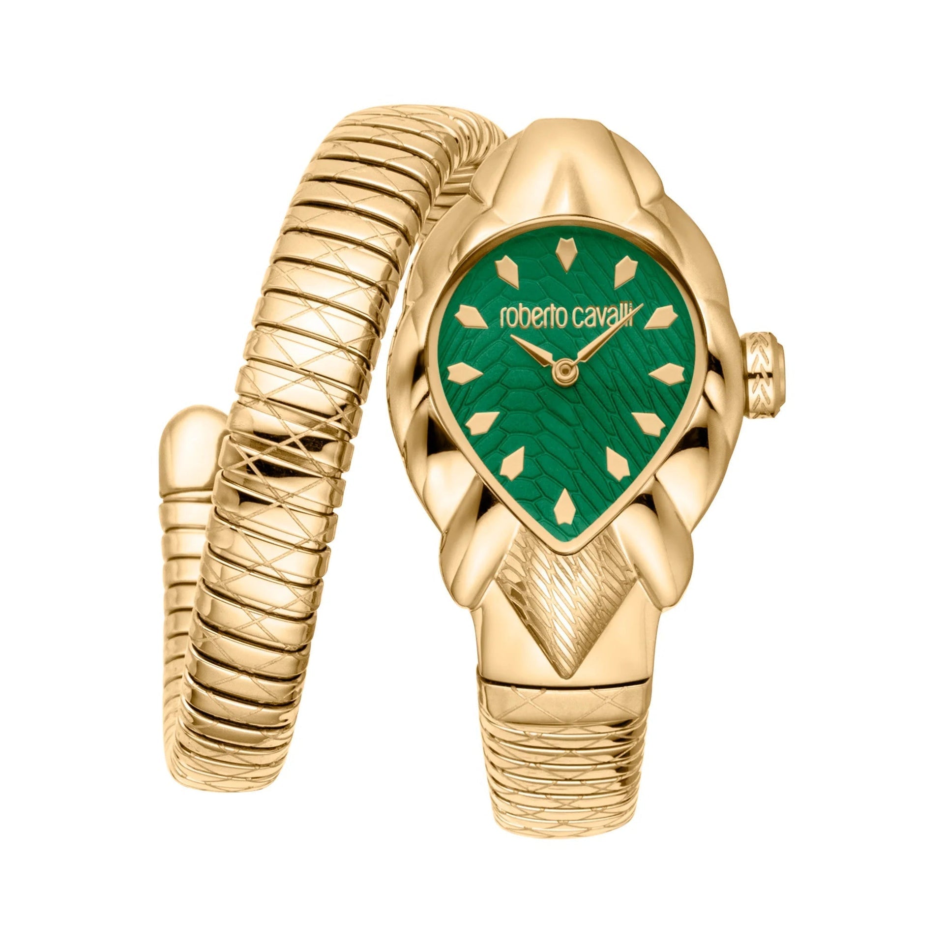 Roberto Cavalli Lady RC5L110M0045 image 0