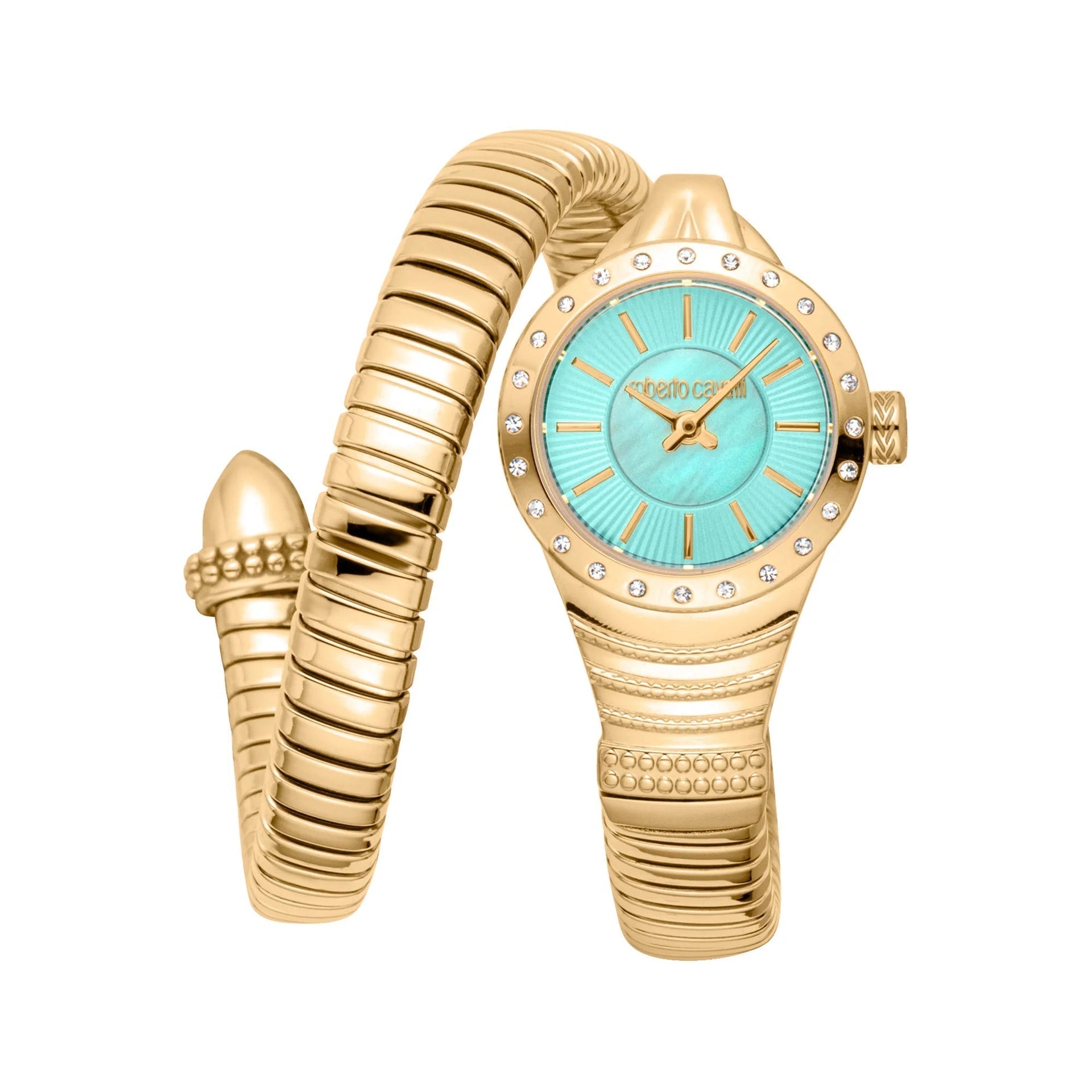 Roberto Cavalli Lady RC5L114M0045 image 0