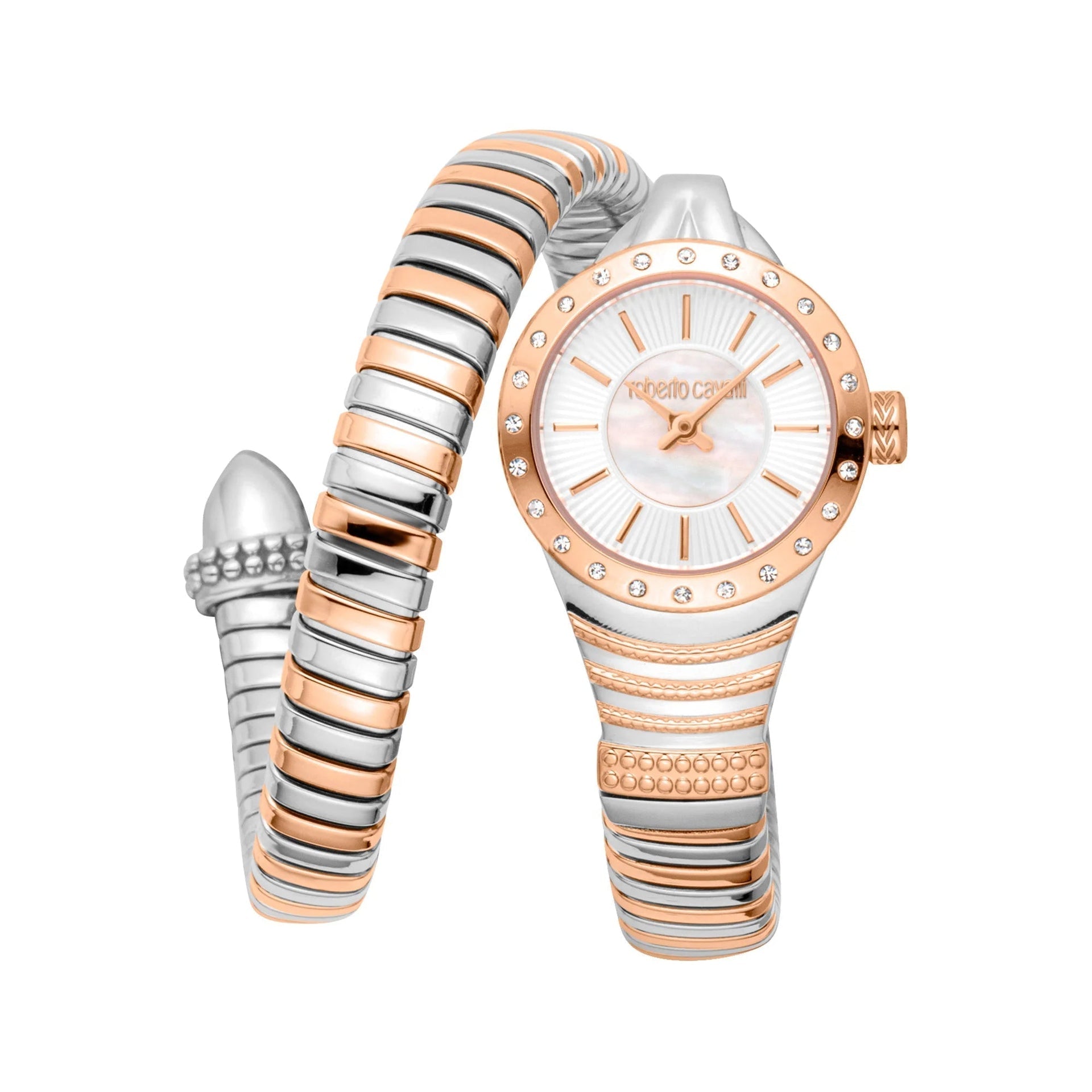 Roberto Cavalli Lady RC5L114M0085 image 0