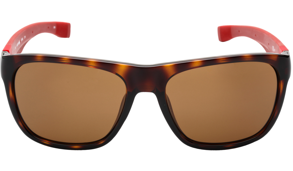 LACOSTE Unisex Wayfarer Magnetic Havana Sunglasses