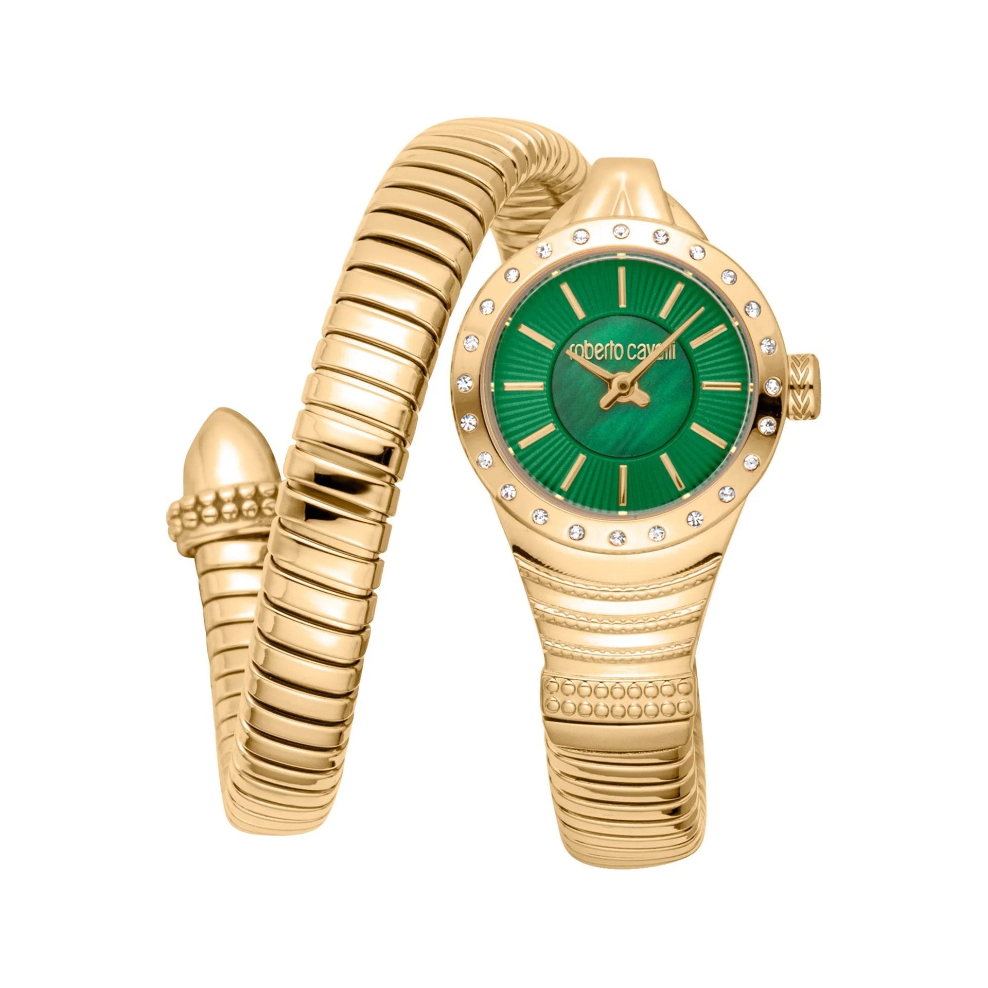 Roberto Cavalli Lady RC5L114M0035 image 0