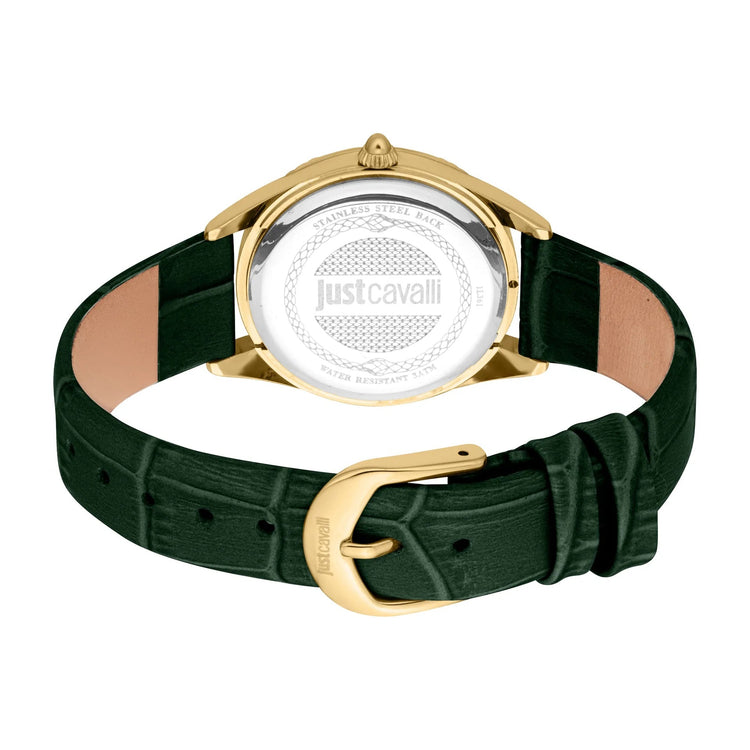 Just Cavalli SET Vittoria Glam Leather Green YG image 1