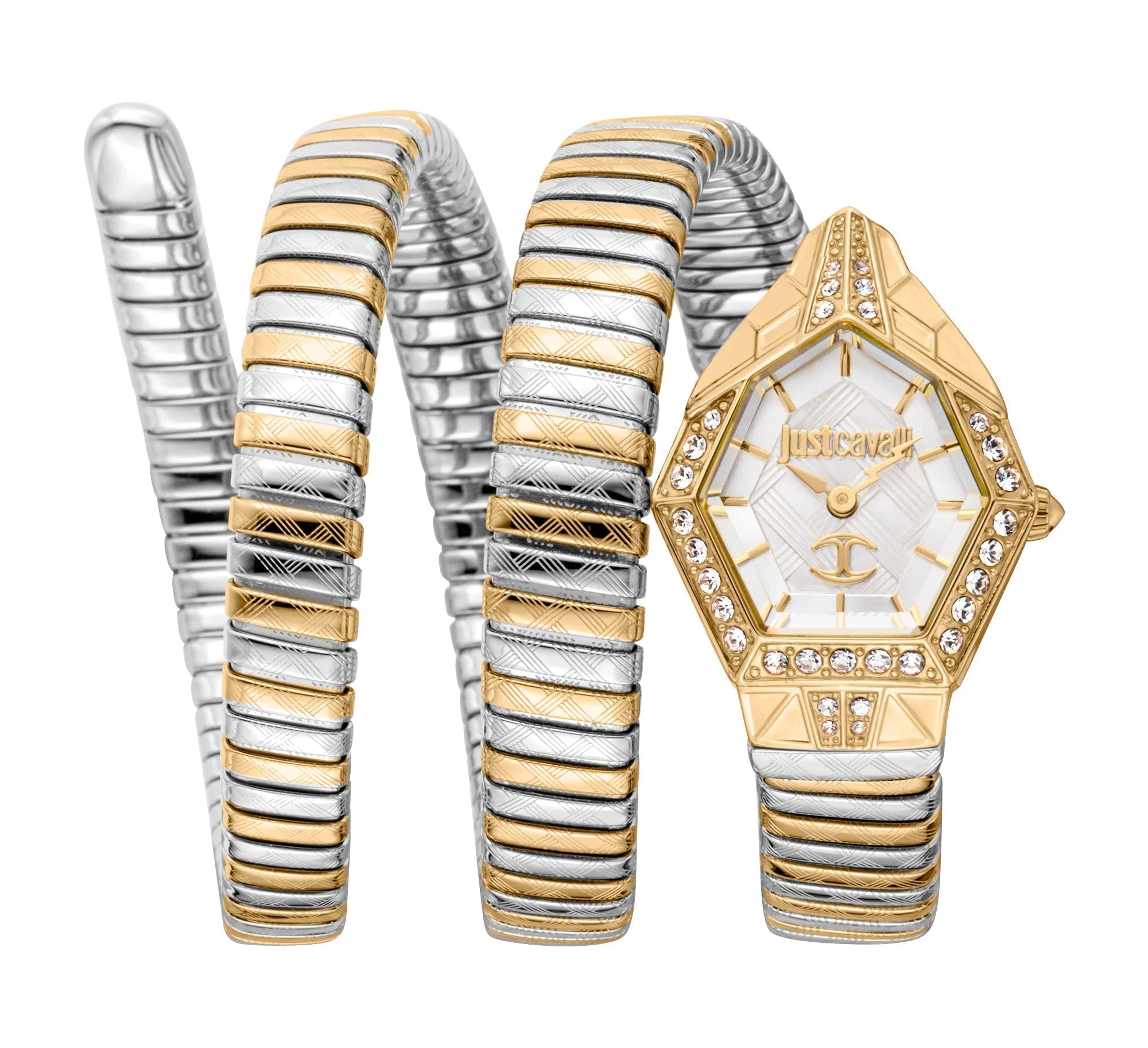 Just Cavalli Signature Snake Mesmerizing Two Tones YG Silver image 0