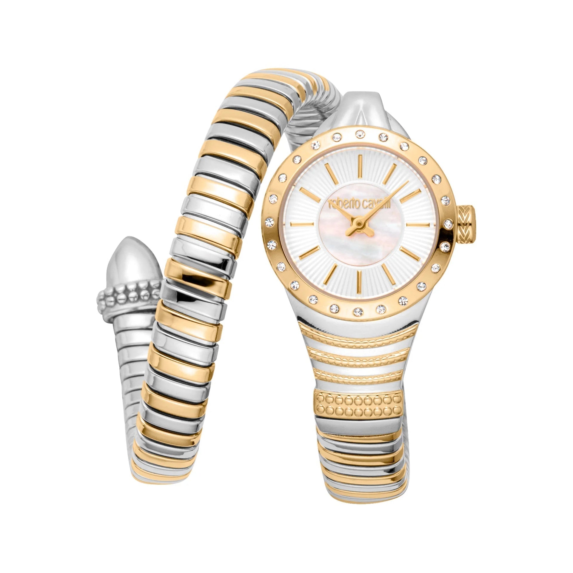 Roberto Cavalli Lady RC5L114M0065 image 0